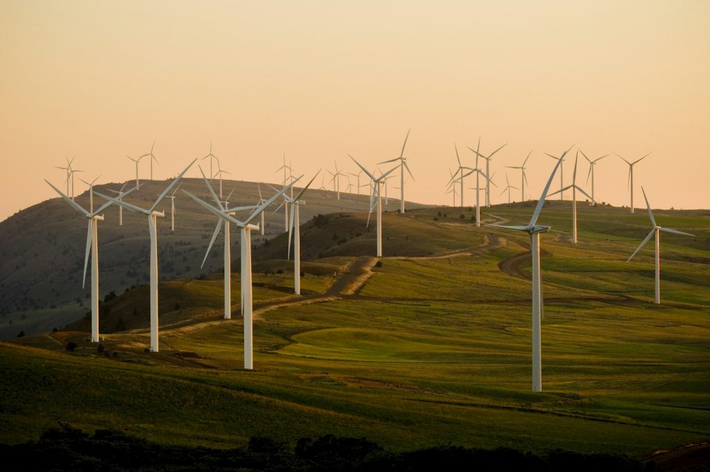 Wind turbines across green hills at golden-hour sunset
